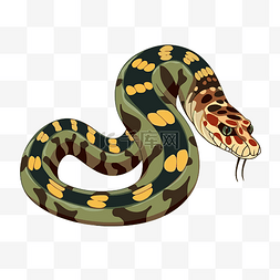 白色背景上的毒蛇剪贴画蛇，带有