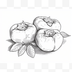 三个柿子手绘图