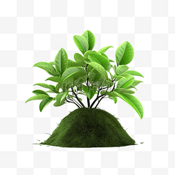 白色生态图片_生态植物 3d 图