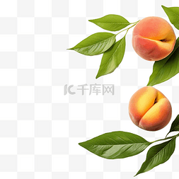 蘋果籃图片_桃子与绿叶