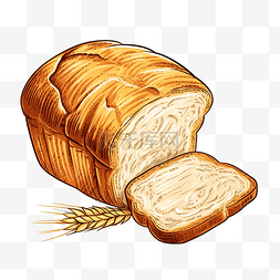 孤立背景下的小麦面包主食插图