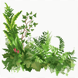 边框剪贴画图片_绿色边框剪贴画植物与蕨类植物和