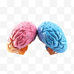 生物神经元图片_人脑有两种颜色