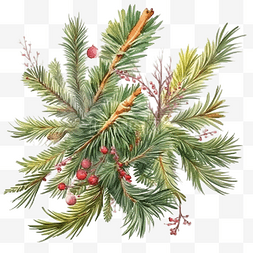 圣诞树叶星星图片_水彩画作文与圣诞树枝