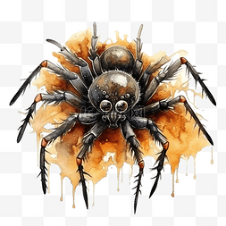 万圣节蜘蛛网和蜘蛛水彩插图