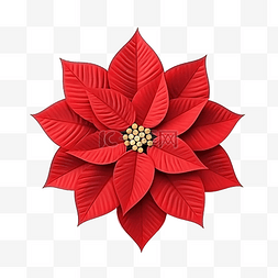 3D 插图圣诞对象花一品红用于网络