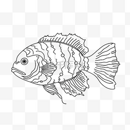 有趣线性图片_鱼海洋动物与鳍涂鸦线性卡通着色