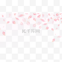 横框图片_情人节花瓣边框横图粉色玫瑰