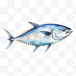 水彩素描图片_金枪鱼水彩素描线条艺术
