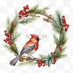 水彩花环和鸟图片_框架与冷杉树枝植物和鸟类圣诞装