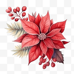 水彩红一品红花花束框架与干树枝