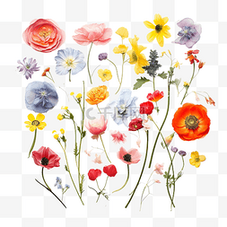 五顏六色的春天的花朵