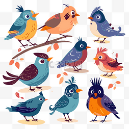 鸟类剪贴画彩色卡通鸟矢量插图集