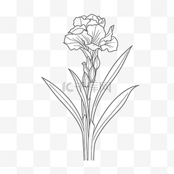 花卉黑色图片_花卉轮廓素描线描 向量