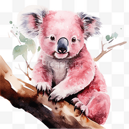 澳大利亚旗矢量图片_粉红色的考拉