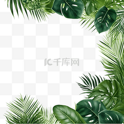 树叶背景棕榈叶图片_绿色植物热带棕榈叶框架