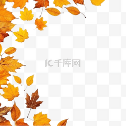 美丽花案图片_秋天的背景和地上的叶子，有复制