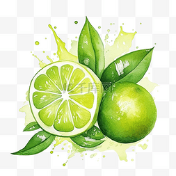 柠檬切图片_绿色柠檬插画彩色绘画