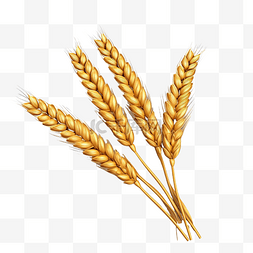 感恩节对象小麦 3d 插图