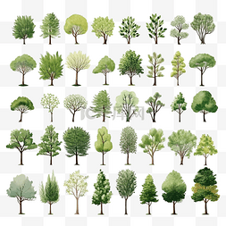 植物冬天图片_小森林逼真的不同种类植物的树木