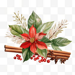 八角星手绘图片_圣诞花卉小插图与冬青和肉桂