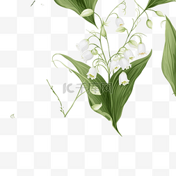 白色精致图案图片_无缝图案与精致的森林可能会开花