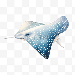 黄貂鱼水彩海洋动物剪贴画