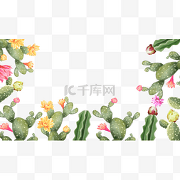 盆栽植物花卉图片_仙人掌边框植物水彩绿色