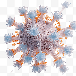 细菌攻击图片_显微镜下看到的冠状病毒的结构形