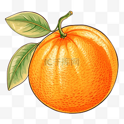 半片橙图片_孤立的橙色绘图