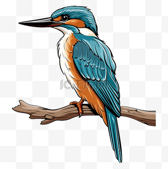 翠鸟栖息在树枝上木刻