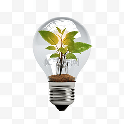 灯泡内植物的 3D 插图