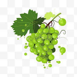 绿葡萄图片_绿葡萄剪贴画 绿葡萄与叶子设计