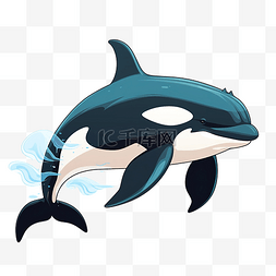 虎鲸海洋生物
