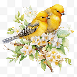 黄色的鸟和小鸡在开花的树枝上