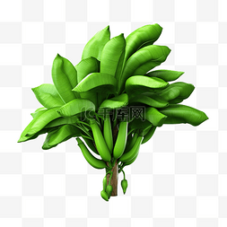 植物从林图片_从多个视角顶视图看没有香蕉的香