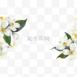 茉莉花卉边框水彩叶子