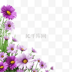 粉色背景植物图片_紫色雏菊花和绿草边框