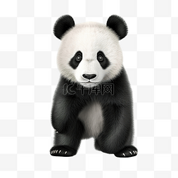 熊猫 3d 渲染
