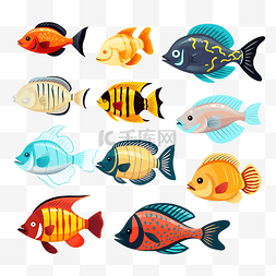 世界自然遗产图片_海底世界的鱼