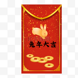 中国新年春节兔年铜钱金色装饰红