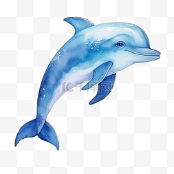 水彩水族馆图片_可爱的蓝色海豚海洋动物水彩插图