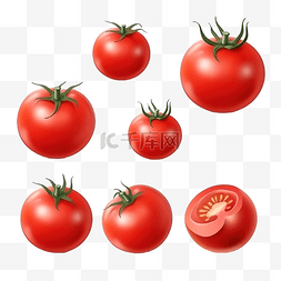 有蔬菜的插图背景图片_背景上孤立的红熟番茄插图