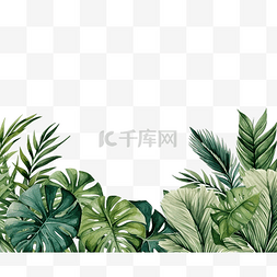 绿色热带树叶和植物水彩插图的无