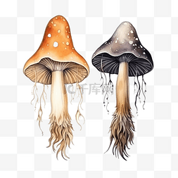 白色魔术帽图片_两个女巫蘑菇设置万圣节和魔法物