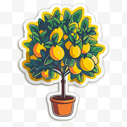 柠檬树卡通图片_盆栽里有柠檬树的贴纸 向量