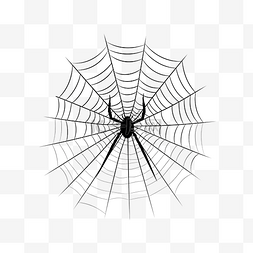蜘蛛网剪影悬挂在背景上隔离的万