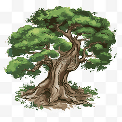盆景树卡通图片_有葉子的樹 向量