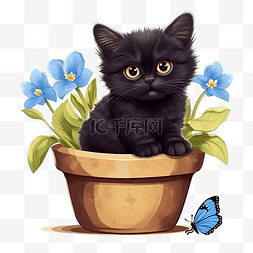 黑猫和蓝色蝴蝶坐在花盆里