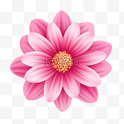 粉紅色的花剪貼畫